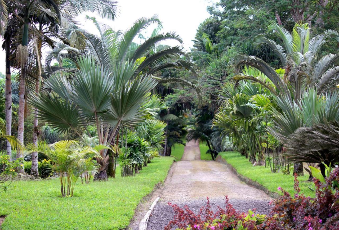 Bnb Tropical Island Aparthotel - Corales Del Sur - Santo Domingo Este Exterior photo